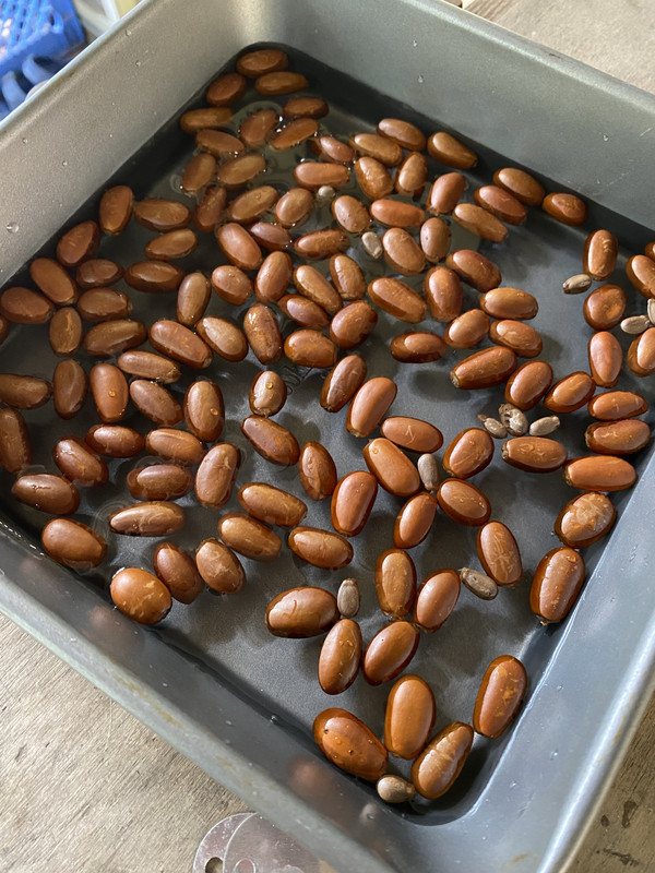 880B3D8B-6A9B-48E3-A71C-0CED2F968B29