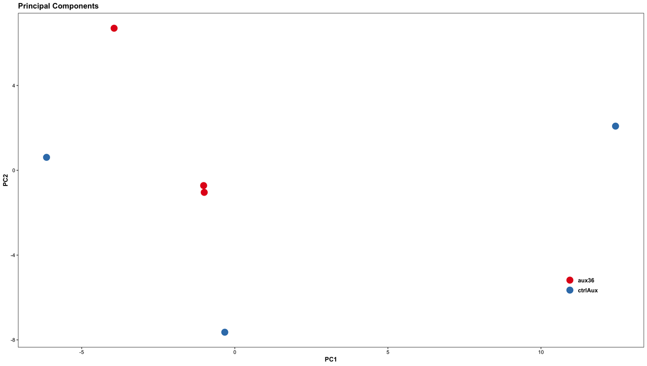 PCA plot of triplicates