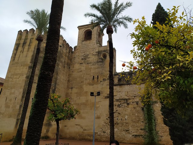 Navidad en Córdoba - Blogs de España - Día 2 Alcázar reyes cristianos, Sinagoga y Mezquita-catedral (1)