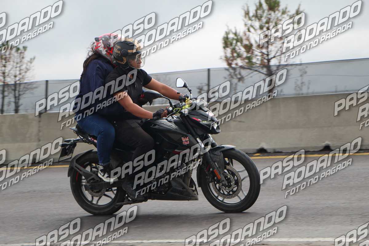 IMG 1363 wm 214432 5 watermarked — Postimages