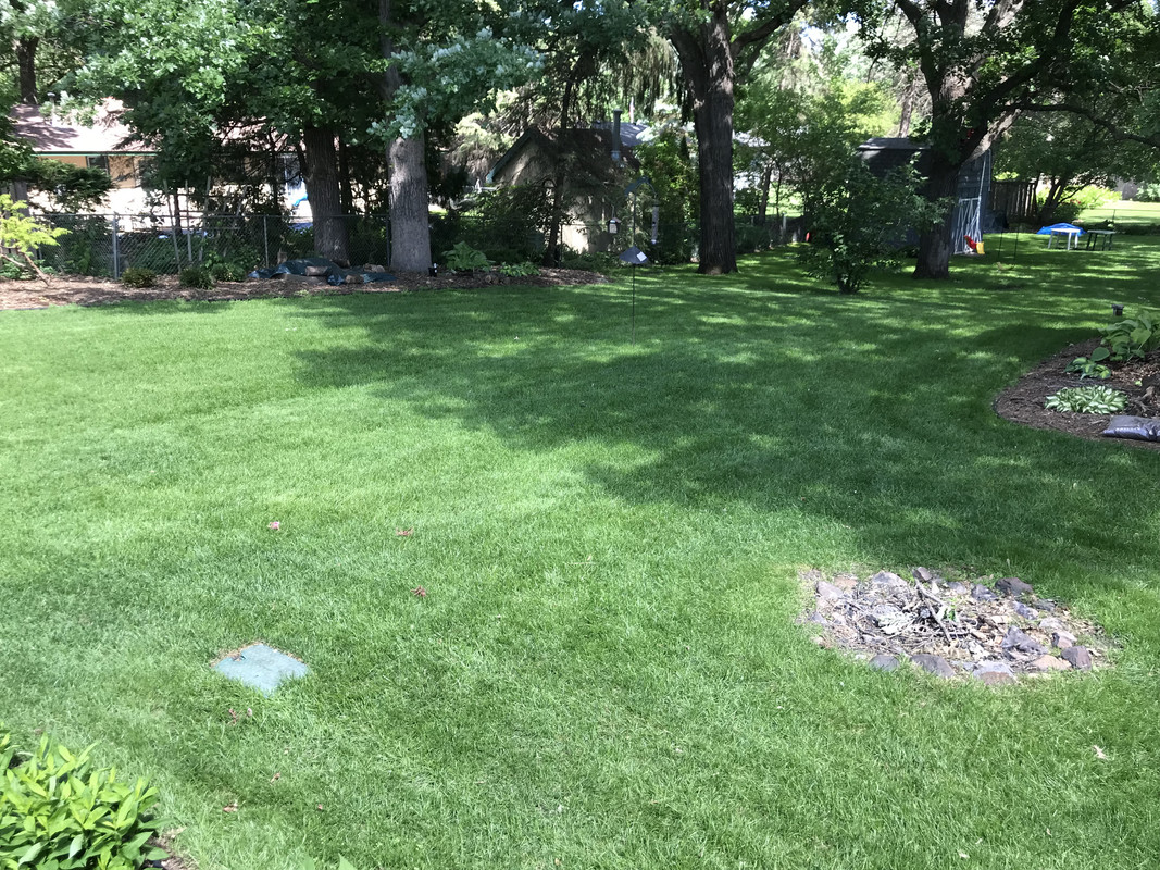 E2D74A86-DB09-4C0A-9121-2C569B87E863