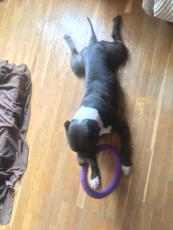 F62DC451-CCD2-405C-9E01-3D1EDF913A76