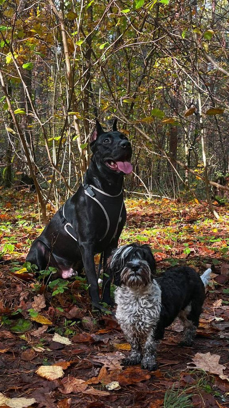 59E259CE-9063-45DC-AFE2-C69688EBEBC5