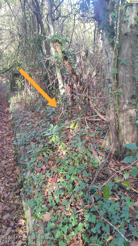 22112025 122442 edit 24658495776582