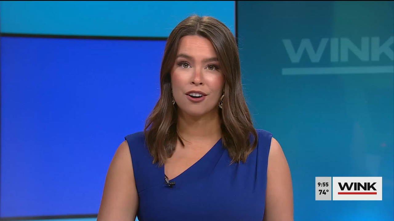 WINK News at 9 00 a.m. 2022_03_05_14_00_00.ts_snapshot_00.58.44.462