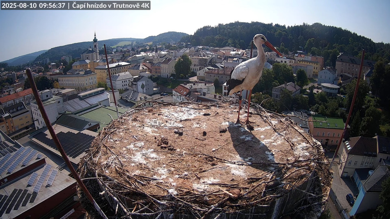 Tiešraide no stārķa ligzdas uz alus darītavas skursteņa Trutnovā 12-16-53 screenshot