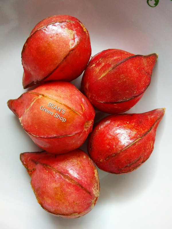 Uchong(Almost round no fins)5