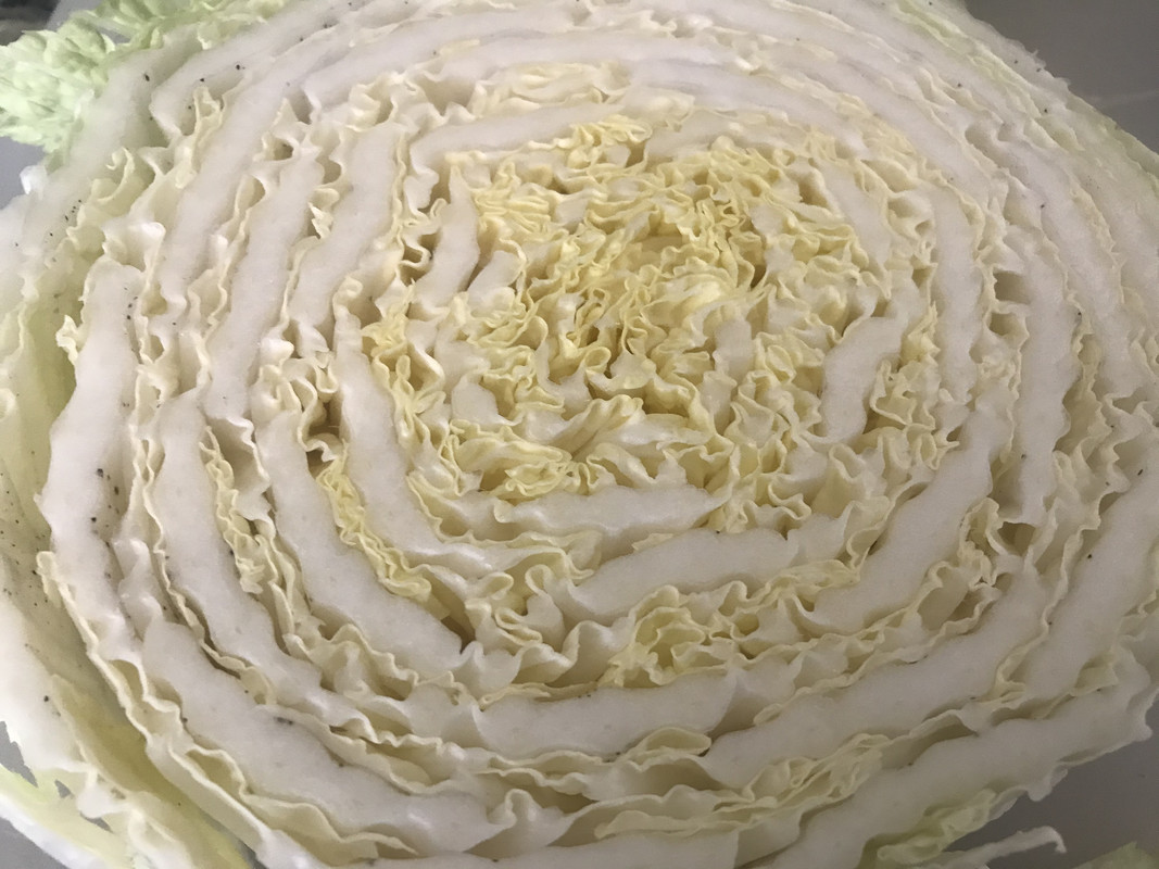 BDEE26C6-CE36-4FF8-BE49-9A479862ABA3