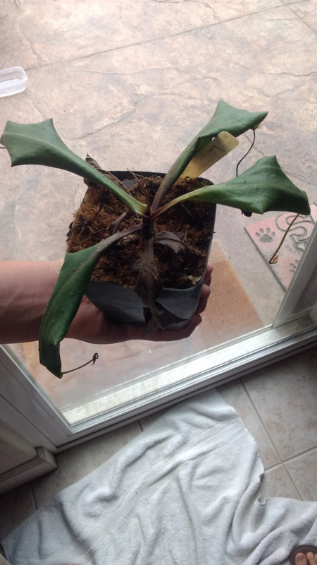 IMG_20190818_094136519 (1)