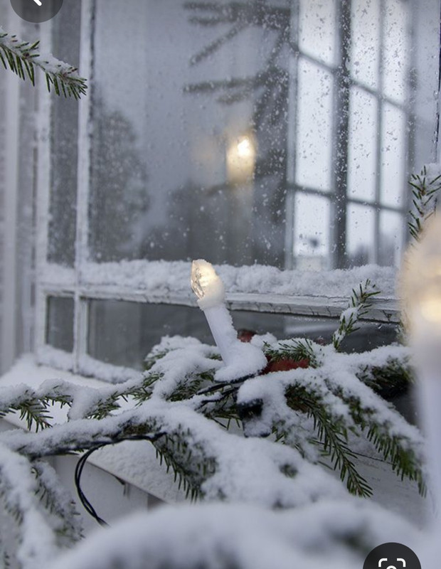 Screenshot_20231123_204453_Pinterest