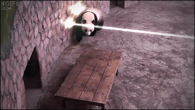 https://i.postimg.cc/CxwxWhT7/11.gif