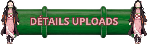 DETAILS-UPLOADS.png