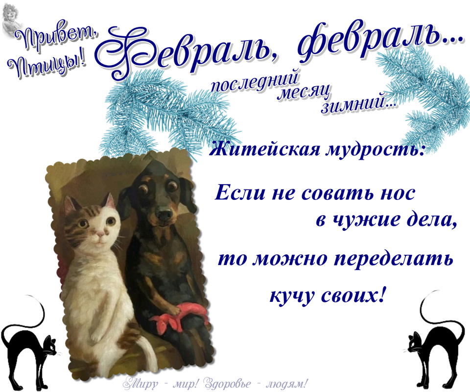 https://i.postimg.cc/CxxTDfSs/08-02.png