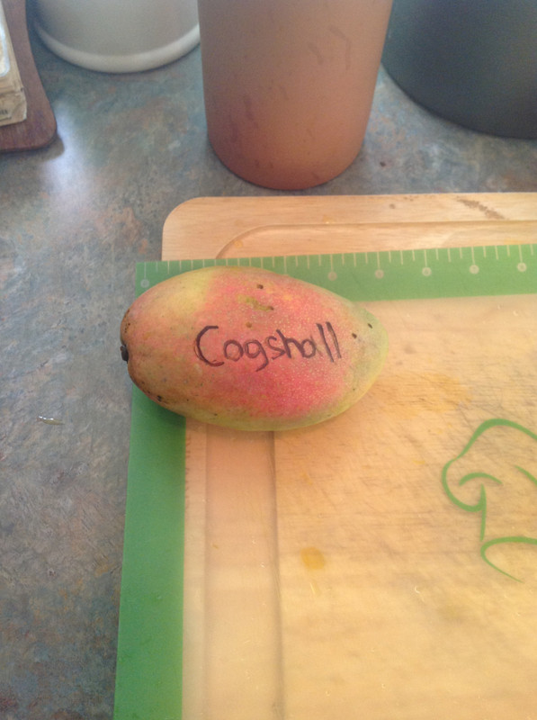 75b6161486548446e3b52217a4be7386