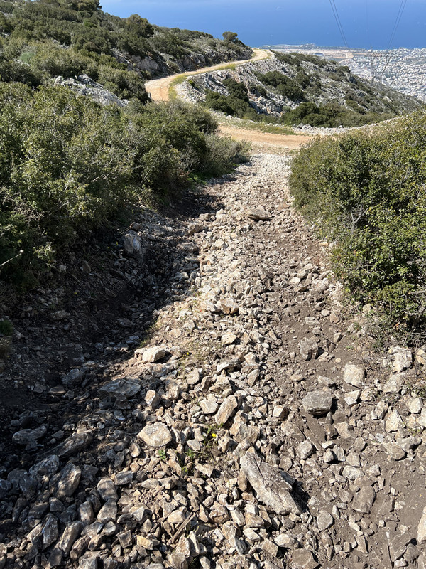 42F08FEC-15E3-4A49-B32D-72A21AE7FED8