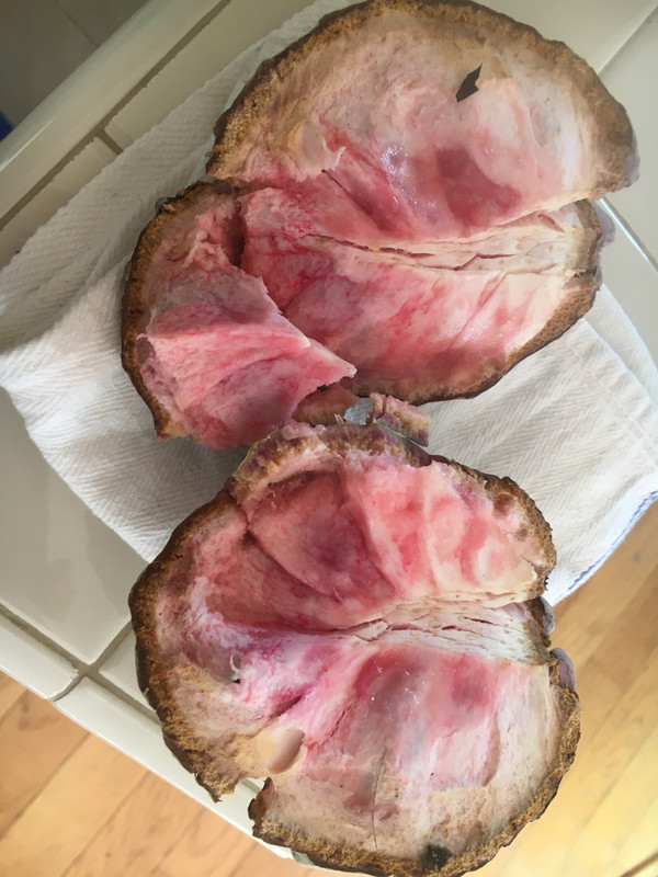 0B5899F8-634E-4024-9239-F7F454E79F17