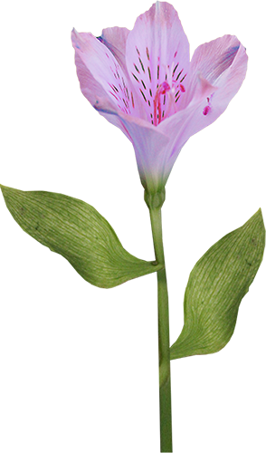 KBK_InTheSpring (39)