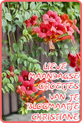 BLOGJES-4-SEP.png