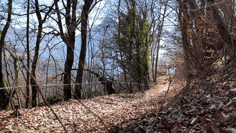 https://i.postimg.cc/CxyVR7c0/ezgif-com-video-to-gif.gif