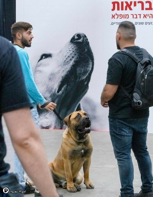 https://i.postimg.cc/CxyZx7Ff/En-Ig-EE06-HZw.jpg