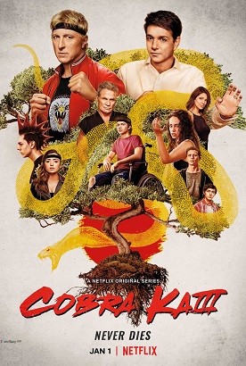Cobra Kai - Stagione 3 (2021) (Completa) WEBRip 2160P HEVC ITA ENG DDP5.1 x265 mkv