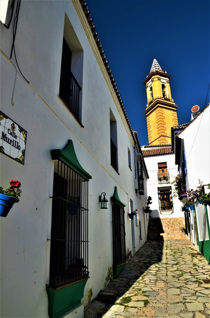 ESTEPONA-9-3-2017 - Málaga y sus pueblos-2009/2017 (16)
