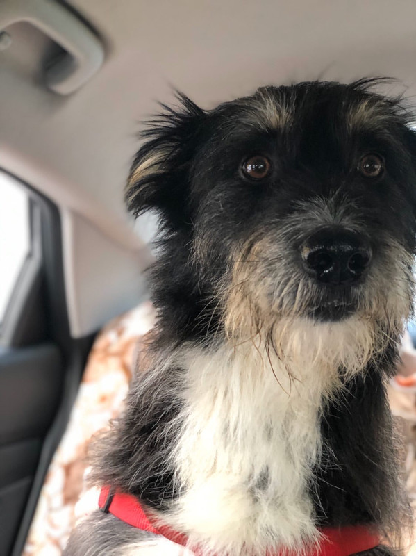 80218E04-688C-4EF7-82EB-40AFC3345BF9