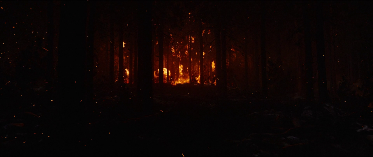 vlcsnap-2018-12-05-03h34m26s431