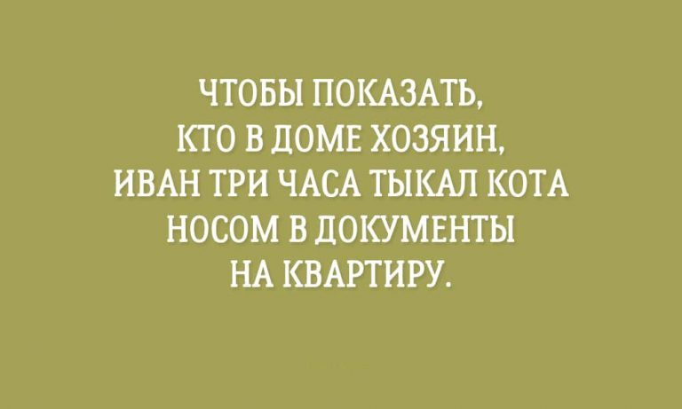 20 открыток, с которыми веселее коротать будние дни