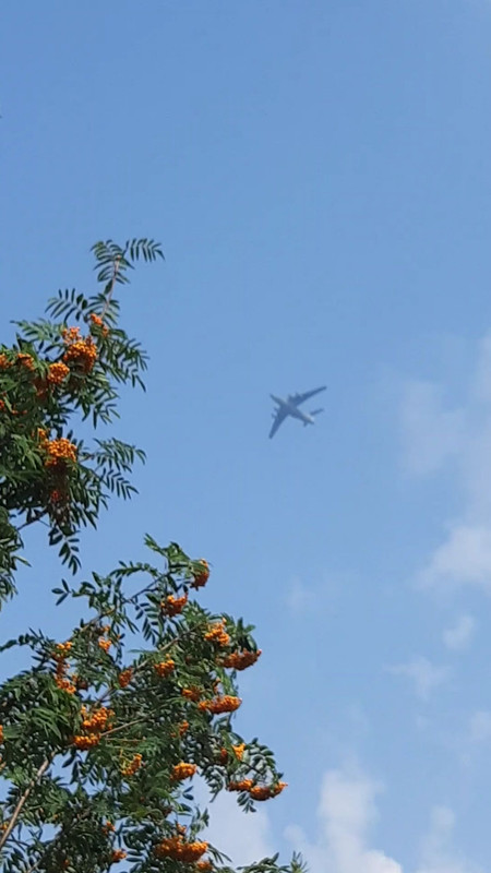 VideoCapture_20190807-151255