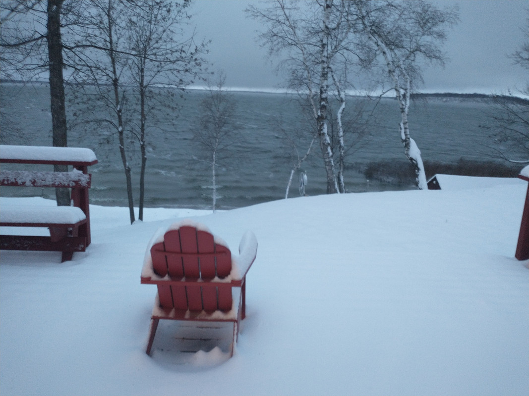 IMG_20211114_070352986