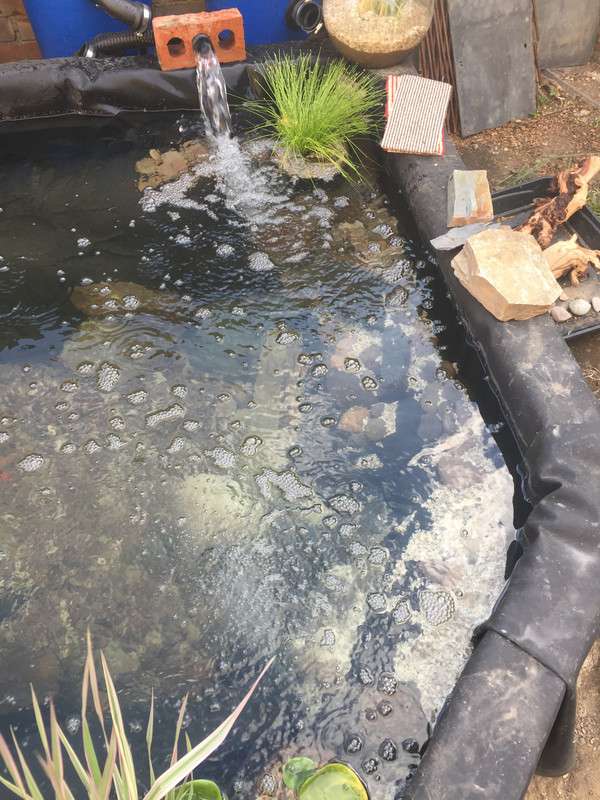 C67D7CB0-5FD3-4A7D-80B7-E4AF31A92160