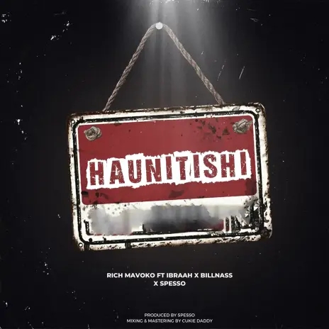 RICH MAVOKO ft IBRAAH, BILLNASS & SPESSO - HAUNITISHI Official Audio 2026