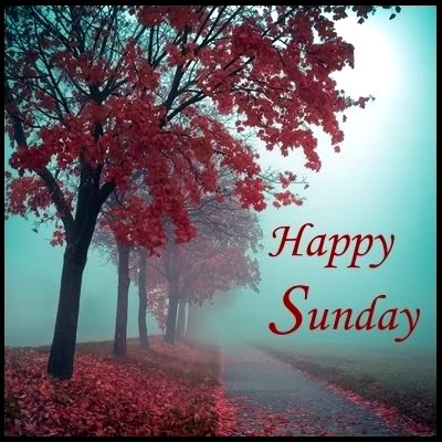 SUNDAY-dimanche-7