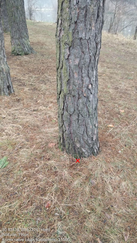 photo 56 2025 12 20 09 10 22