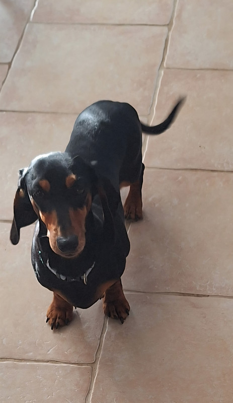 [Image: 20251126-095847.jpg]