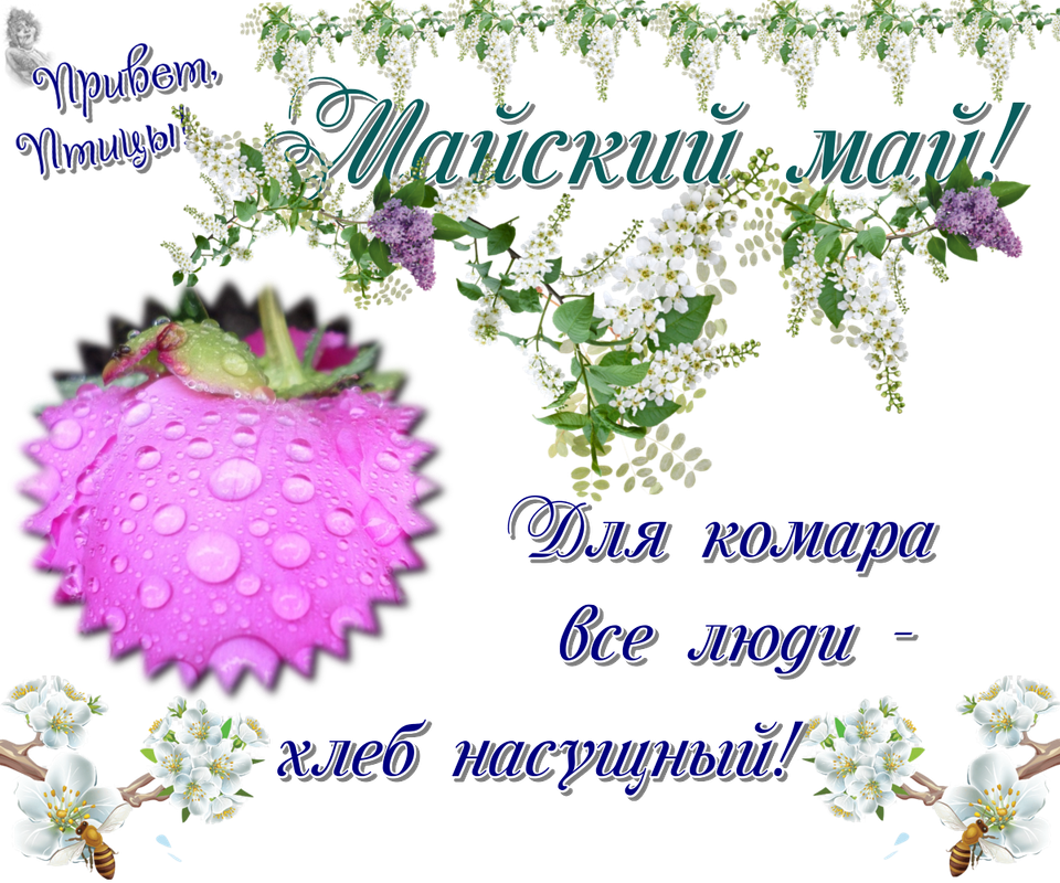 https://i.postimg.cc/CxzkfG4G/17-05.png