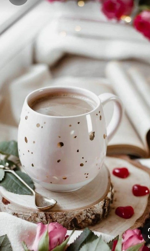 Screenshot_20230305_231049_Pinterest