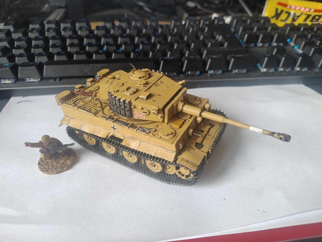 tiger