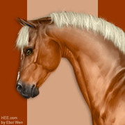 HEE Avatar Stable Colours
