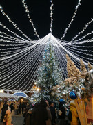 WhatsApp Image 2024-01-07 at 23.06.50