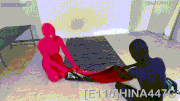 E110 HINA447C gif