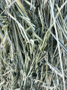 AE5577F1-A710-415F-8BB1-D1DF87BDC27E