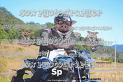 IMG-2963