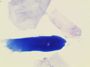 23207 177260 Into CNS 000002