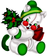 Christmasswishoffairydnkitty