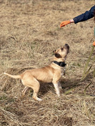 IMG_20230416_173401_869