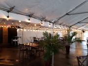 canopy Tent rental