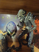 [Obrazek: 20241025-185505.jpg]