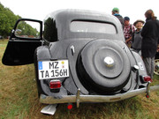 IMG-1310.jpg